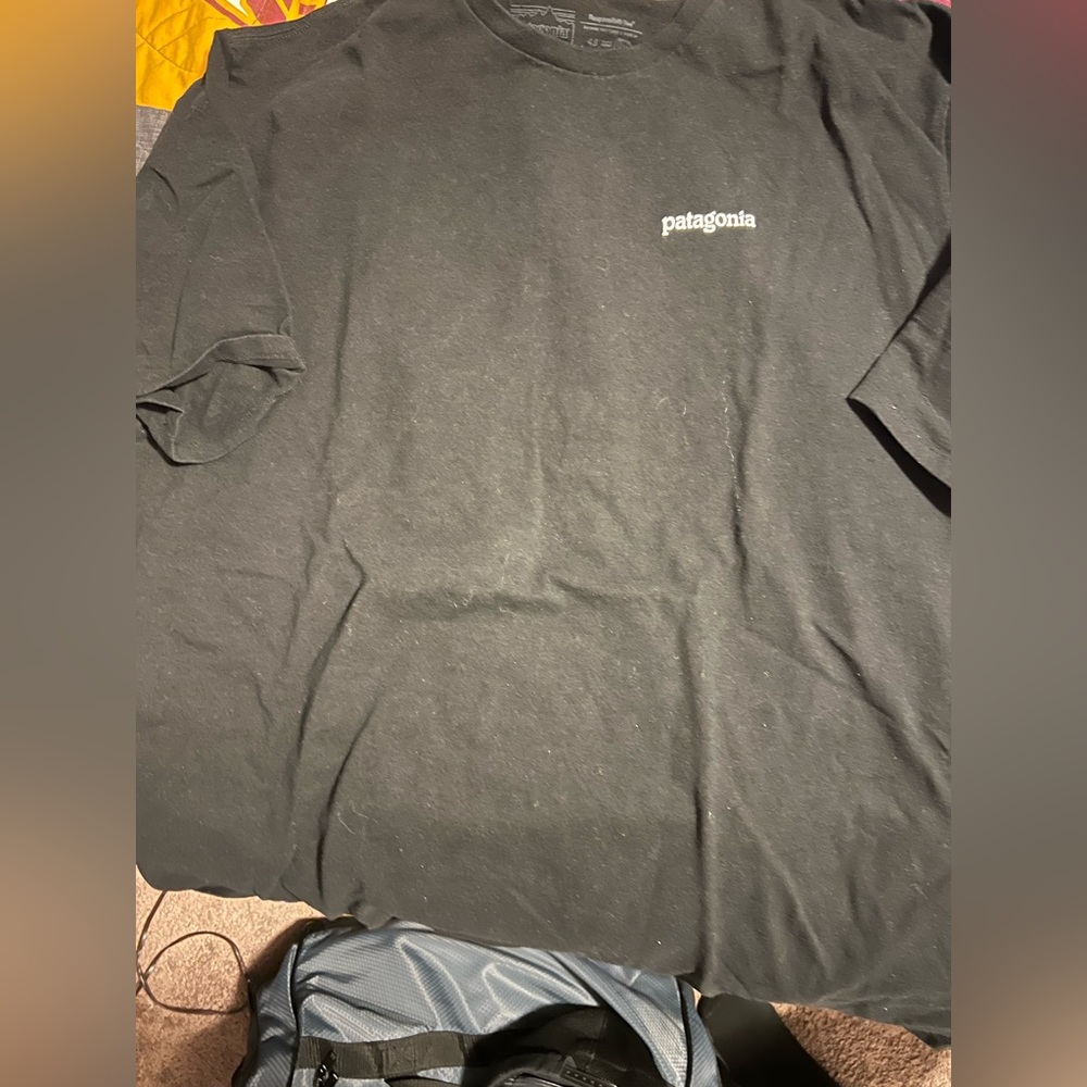 Patagonia XL Tshirt